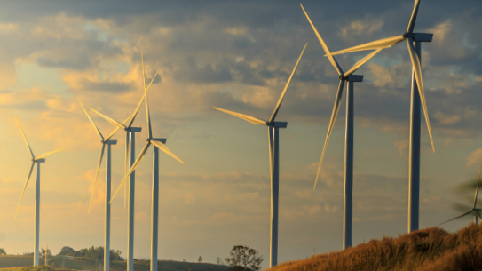 Wind turbines on field