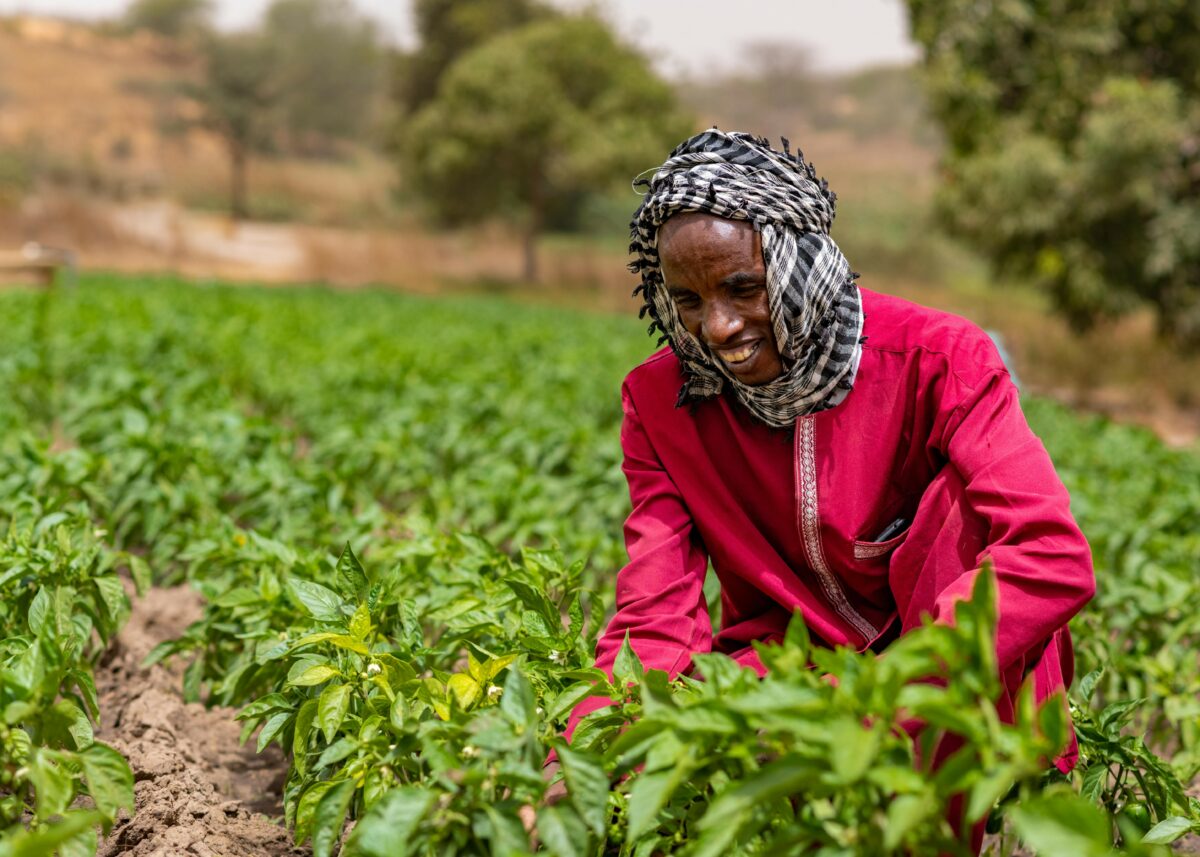 Woman working on field